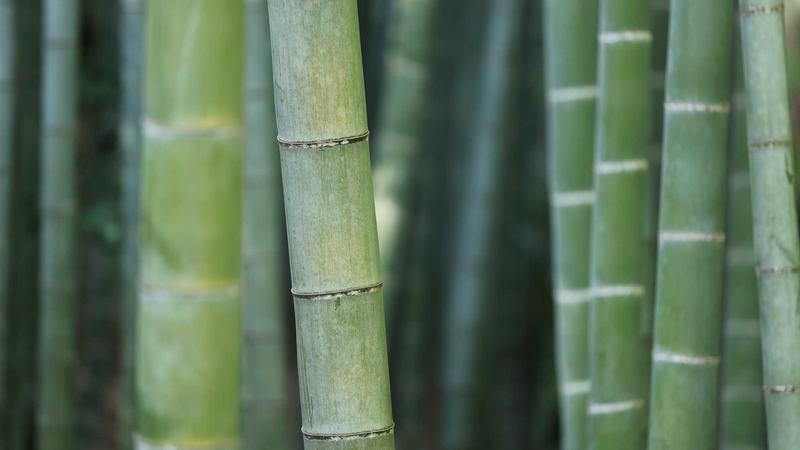 利澳平台：数字时代的全球连接枢纽与创新引擎